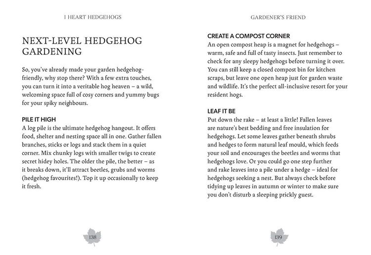 Produktbild: I Heart Hedgehogs