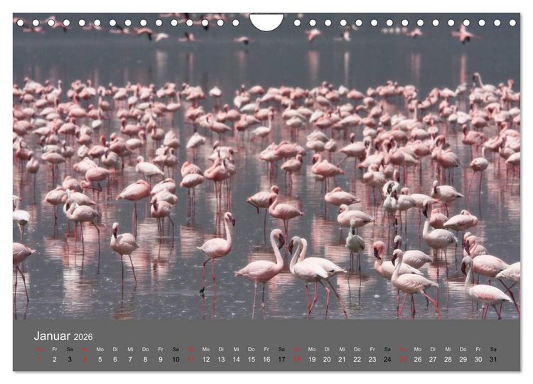 Produktbild: Ich tr&auml;umte von Afrika (Wandkalender 2026 DIN A4 quer), CALVENDO Monatskalender