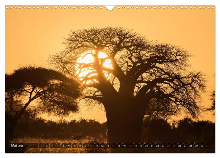 Produktbild: Ostafrika (Wandkalender 2026 DIN A3 quer), CALVENDO Monatskalender