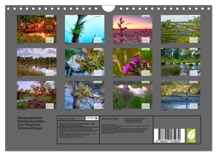 Produktbild: Niedersachsens Moorlandschaften - Das Pietzmoor, Schneverdingen (Wandkalender 2026 DIN A4 quer), CALVENDO Monatskalender