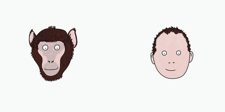 Produktbild: BiBiBiber hat da mal 'ne Frage. Warum k&ouml;nnen Babys nix? Leben & Tiere