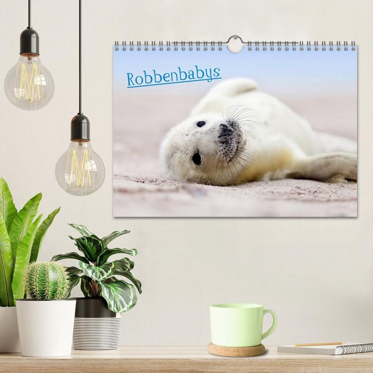 Produktbild: Robbenbabys (Wandkalender 2027 DIN A4 quer), CALVENDO Monatskalender