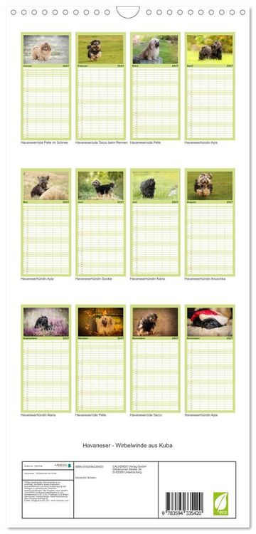Produktbild: Familienplaner 2027 - Havaneser - Wirbelwinde aus Kuba mit 5 Spalten (Wandkalender, 21 x 45 cm) CALVENDO