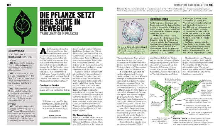 Big Ideas. Das Biologie-Buch
