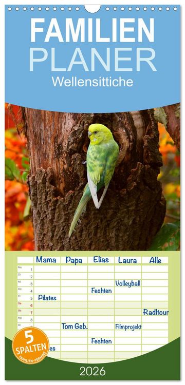 Produktbild: Familienplaner 2026 - Wellensittiche mit 5 Spalten (Wandkalender, 21 x 45 cm) CALVENDO