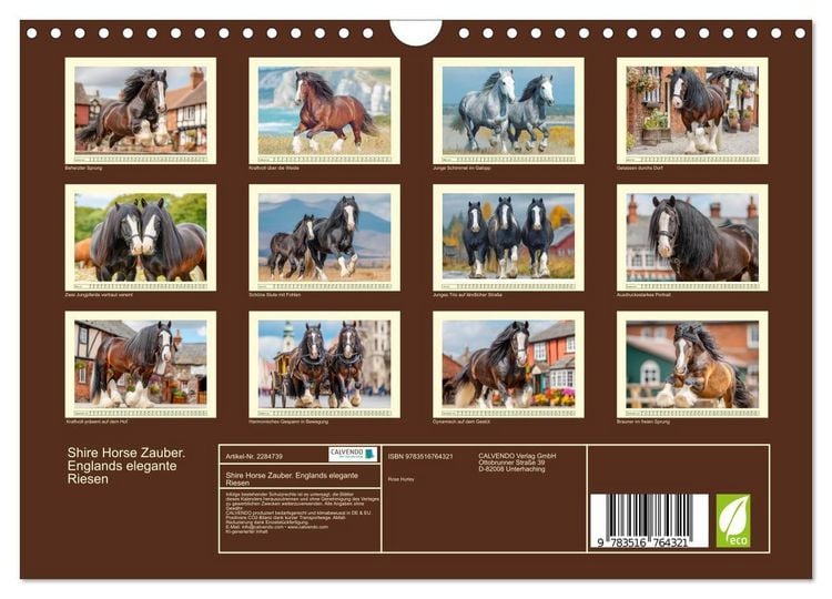 Produktbild: Shire Horse Zauber. Englands elegante Riesen (Wandkalender 2027 DIN A4 quer), CALVENDO Monatskalender