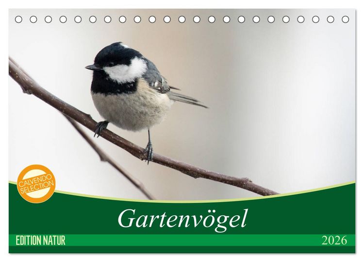 Produktbild: Gartenv&ouml;gel (Tischkalender 2026 DIN A5 quer), CALVENDO Monatskalender