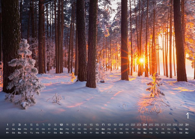 Produktbild: Wald - Erholung f&uuml;r Mensch und Tier - 2027 - Kalender DIN A3