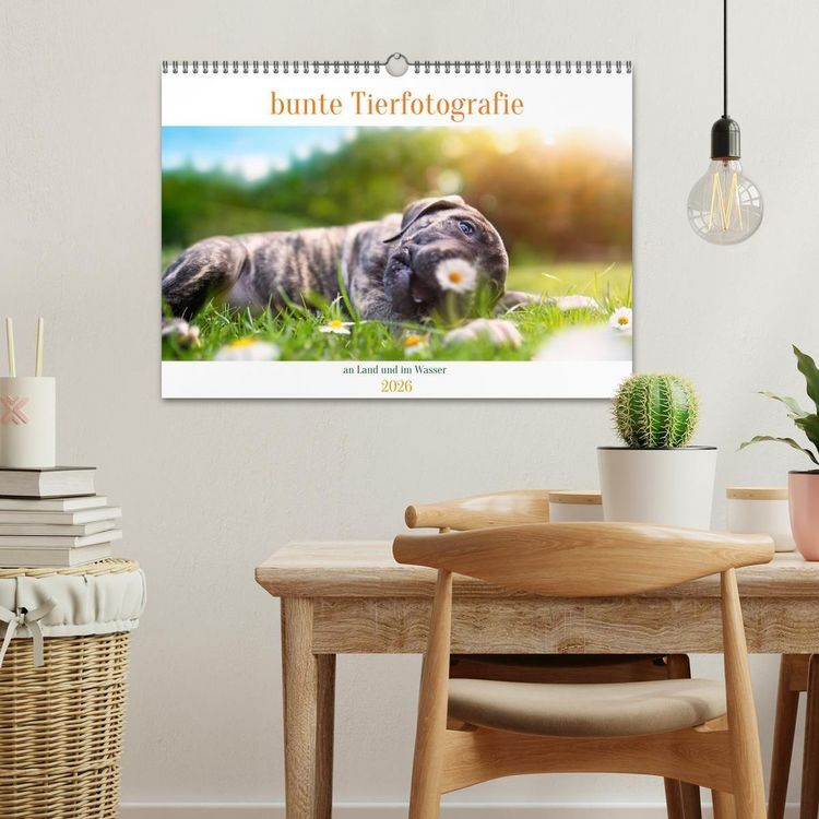 Produktbild: bunte Tierfotografie an Land und im Wasser (Wandkalender 2026 DIN A3 quer), CALVENDO Monatskalender