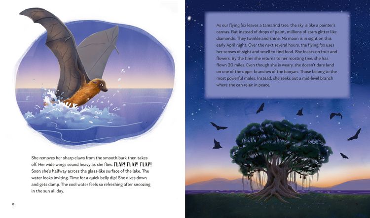 Produktbild: Secrets of the Stars