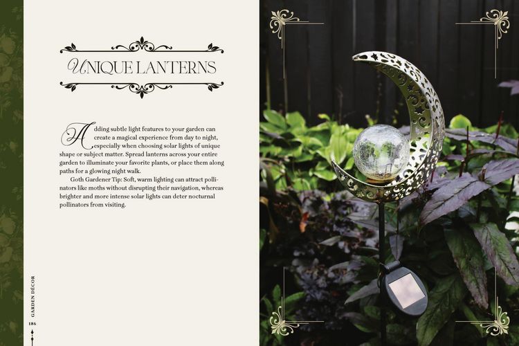 Produktbild: Darkness in Bloom