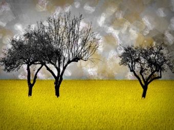 Produktbild: CALVENDO Puzzle Digital-Art Landscape | 1000 Teile Lege-Gr&ouml;&szlig;e 64x48cm Foto-Puzzle f&uuml;r gl&uuml;ckliche Stunden