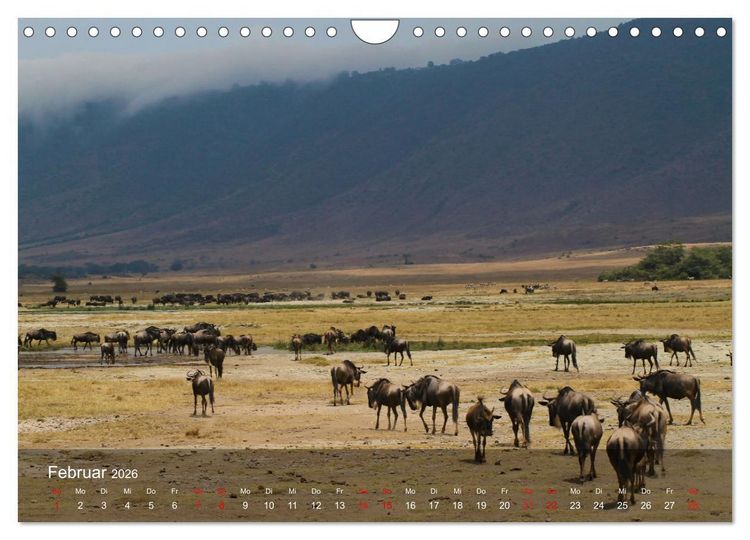 Produktbild: Ostafrika - Tansania und Kenia hautnah (Wandkalender 2026 DIN A4 quer), CALVENDO Monatskalender