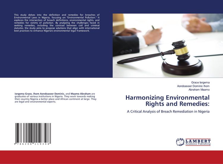 Produktbild: Harmonizing Environmental Rights and Remedies: