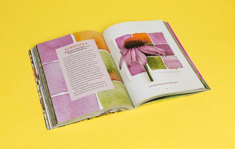 Produktbild: The Generosity of Plants