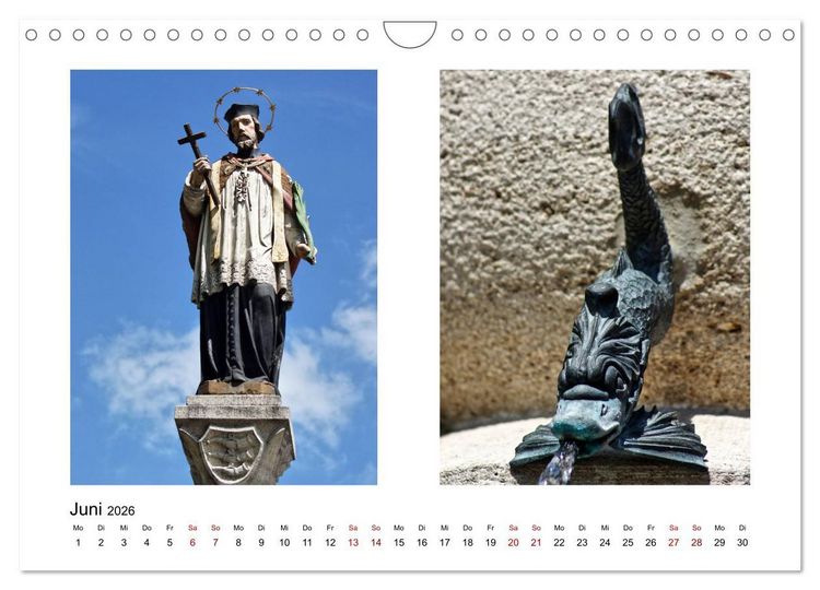 Produktbild: Wei&szlig;enhorn (Wandkalender 2026 DIN A4 quer), CALVENDO Monatskalender