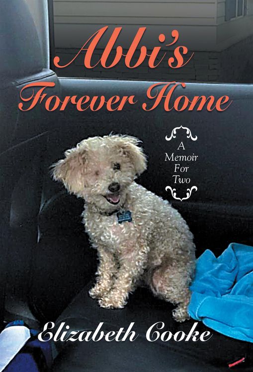 Produktbild: Abbi'S Forever Home