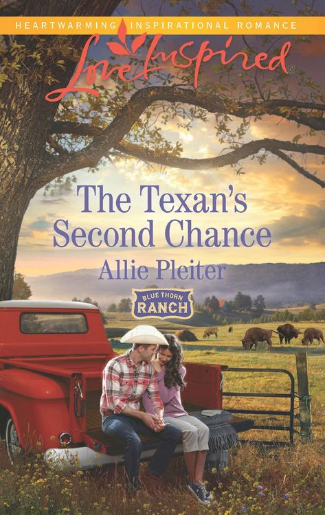 Produktbild: The Texan's Second Chance