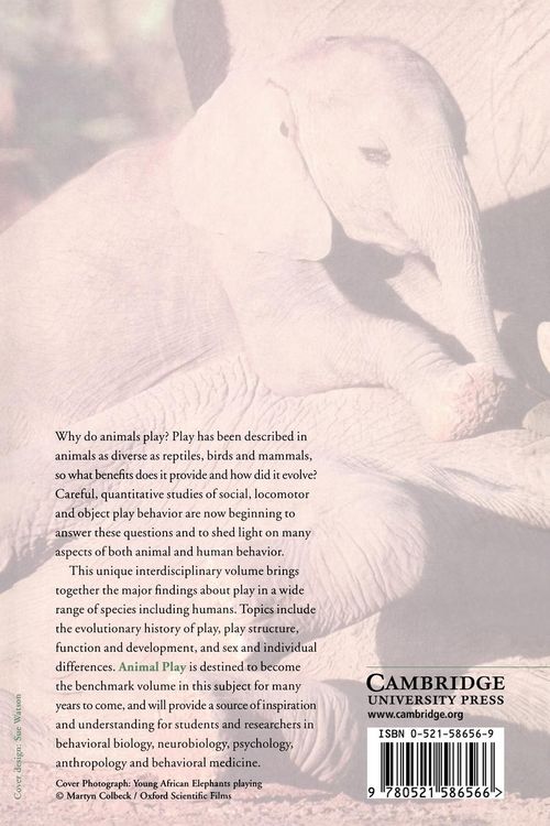 Produktbild: Animal Play