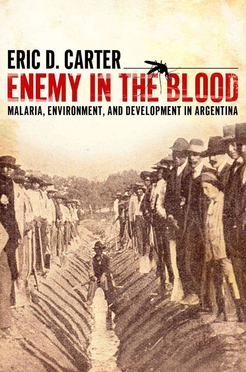 Produktbild: Enemy in The Blood