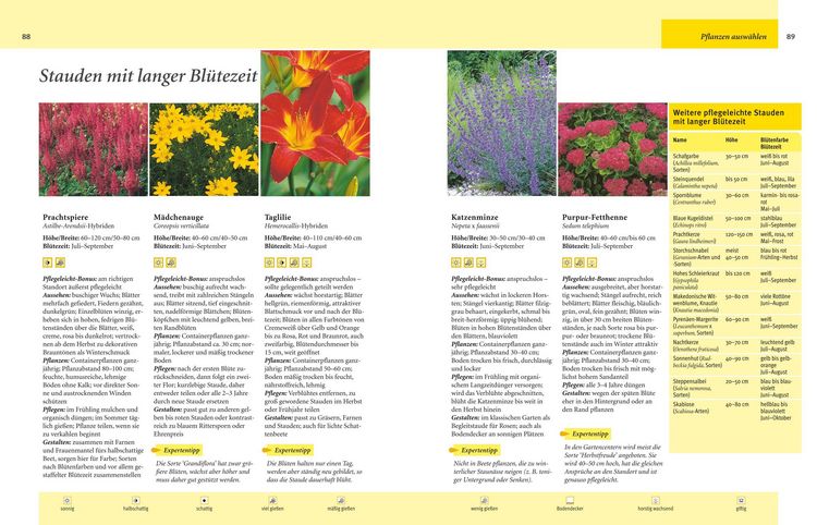 Produktbild: Pflegeleichter Garten