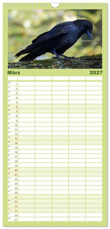 Produktbild: Familienplaner 2027 - Das Leben der Rabenv&ouml;gel mit 5 Spalten (Wandkalender, 21 x 45 cm) CALVENDO