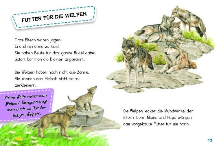 Produktbild: Tira, die junge Wölfin