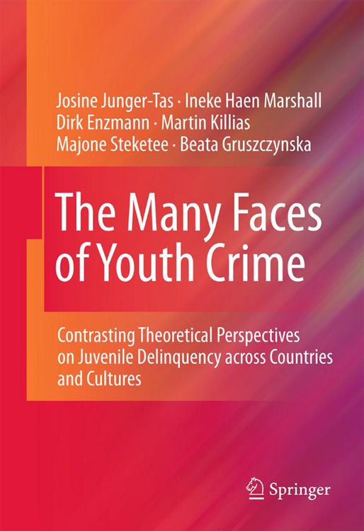 Produktbild: The Many Faces of Youth Crime