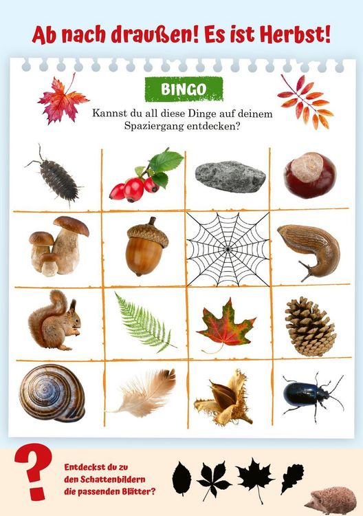 Produktbild: Naturforscher-Kids &ndash; Abenteuer-Spazierg&auml;nge