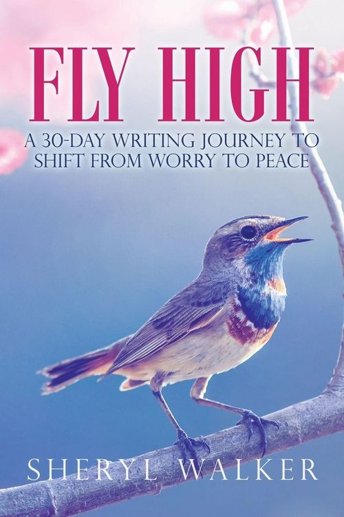 Produktbild: Fly High