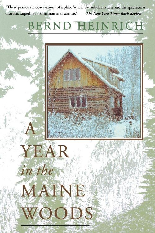 Produktbild: A Year in the Maine Woods