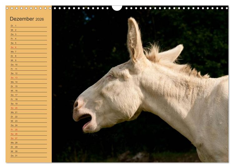 Produktbild: Gro&szlig;esel an der Loreley (Wandkalender 2026 DIN A3 quer), CALVENDO Monatskalender