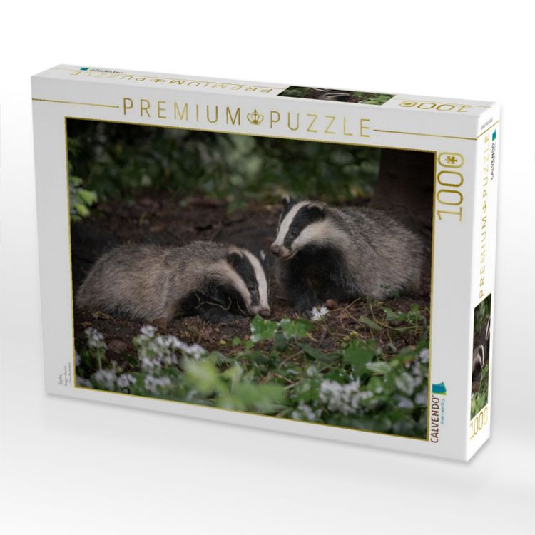 Produktbild: CALVENDO Puzzle Dachs | 1000 Teile Lege-Gr&ouml;&szlig;e 64x48cm Foto-Puzzle f&uuml;r gl&uuml;ckliche Stunden