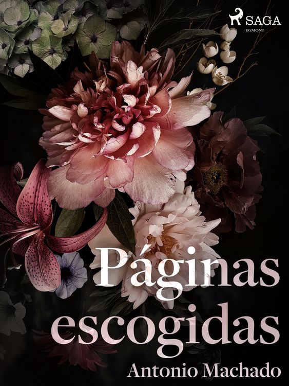 Produktbild: P&aacute;ginas escogidas