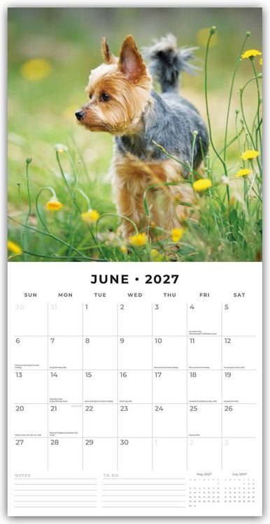 Produktbild: Yorkshire Terriers &ndash; Yorkshire Terrier 2027 &ndash; 16-Monatskalender