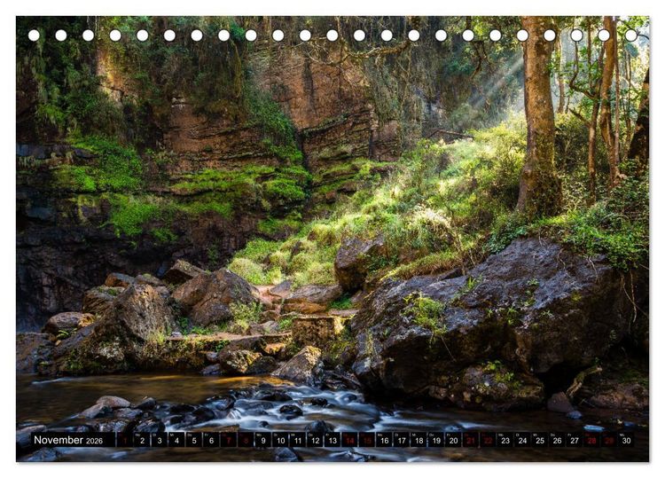 Produktbild: Waldwasser (Tischkalender 2026 DIN A5 quer), CALVENDO Monatskalender