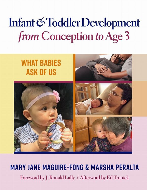 Produktbild: Infant and Toddler Development from Conception to Age 3