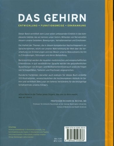 Produktbild: Das Gehirn