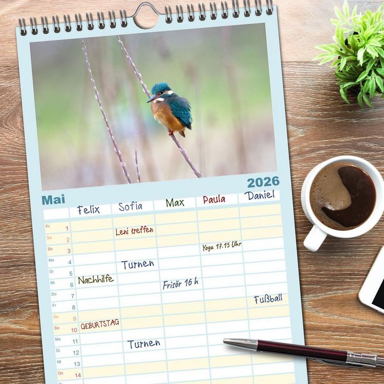 Produktbild: Familienplaner 2026 - Eisvogel im Portr&auml;t mit 5 Spalten (Wandkalender, 21 x 45 cm) CALVENDO