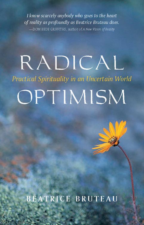 Produktbild: Radical Optimism