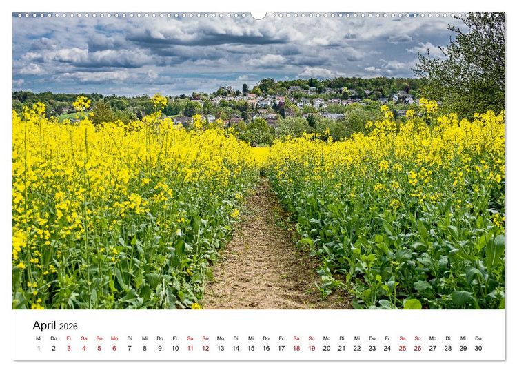 Produktbild: H&ouml;hepunkte des Siebengebirges (Wandkalender 2026 DIN A2 quer), CALVENDO Monatskalender