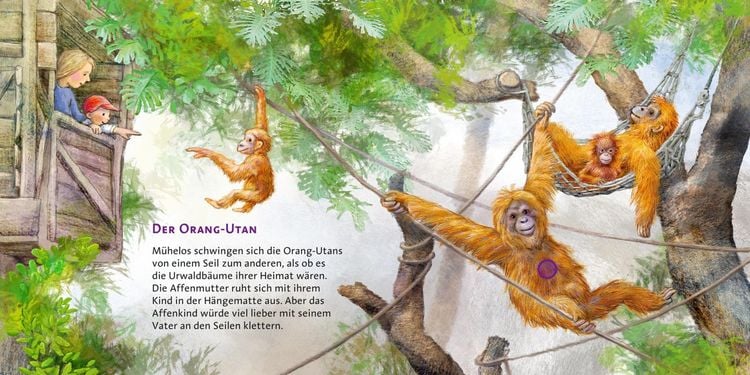 Produktbild: Im Zoo / Hör mal Band 6