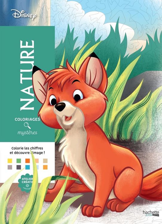 Produktbild: Nature : coloriages myst&egrave;res Disney