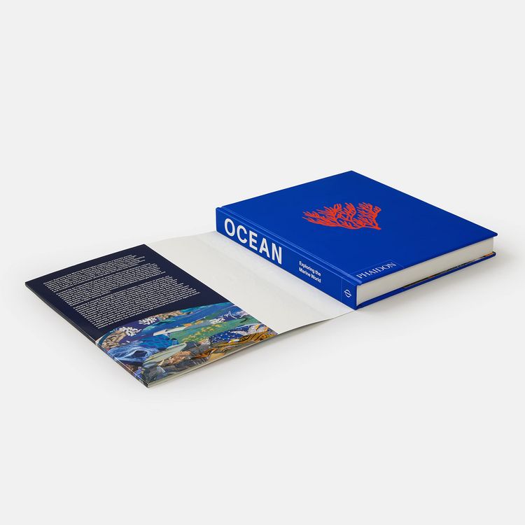 Produktbild: Ocean, Exploring the Marine World