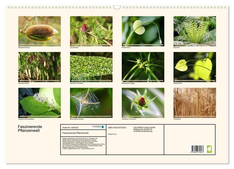 Produktbild: Faszinierende Pflanzenwelt (Wandkalender 2027 DIN A2 quer), CALVENDO Monatskalender
