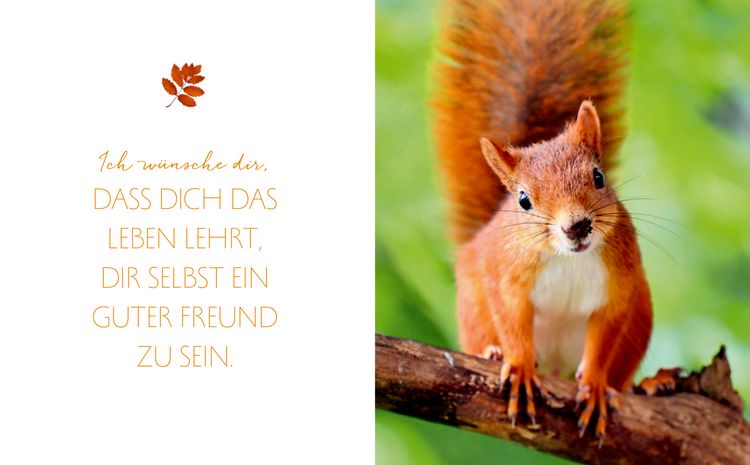 Produktbild: Das Gl&uuml;ck aller Kleebl&auml;tter sei mit dir