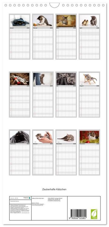 Produktbild: Familienplaner 2026 - Zauberhafte K&auml;tzchen mit 5 Spalten (Wandkalender, 21 x 45 cm) CALVENDO