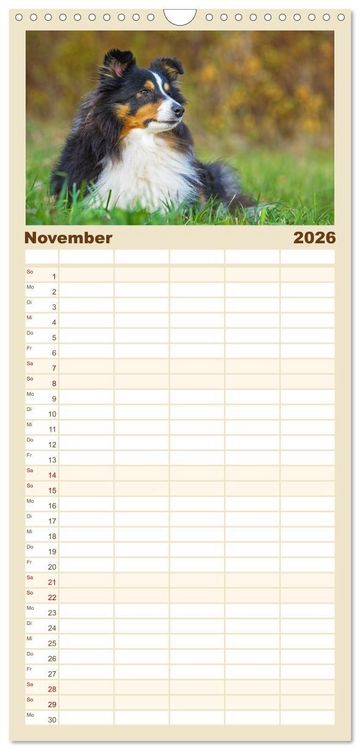 Produktbild: Familienplaner 2026 - Sheltie - Ein St&uuml;ck vom Gl&uuml;ck mit 5 Spalten (Wandkalender, 21 x 45 cm) CALVENDO