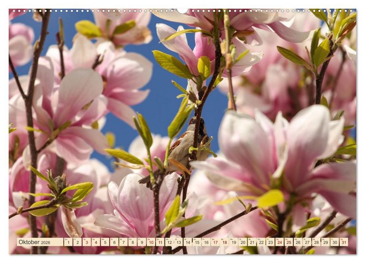 Produktbild: B&auml;ume, der Atem der Natur (Wandkalender 2026 DIN A2 quer), CALVENDO Monatskalender