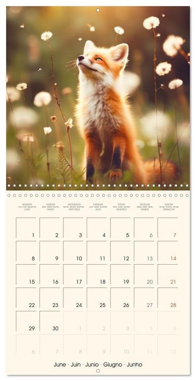 Produktbild: Les renards, des cr&eacute;atures si mignonnes (Calendrier mural carr&eacute; 2026 30x30 cm) Calendrier double avec une page pour vos prises de notes